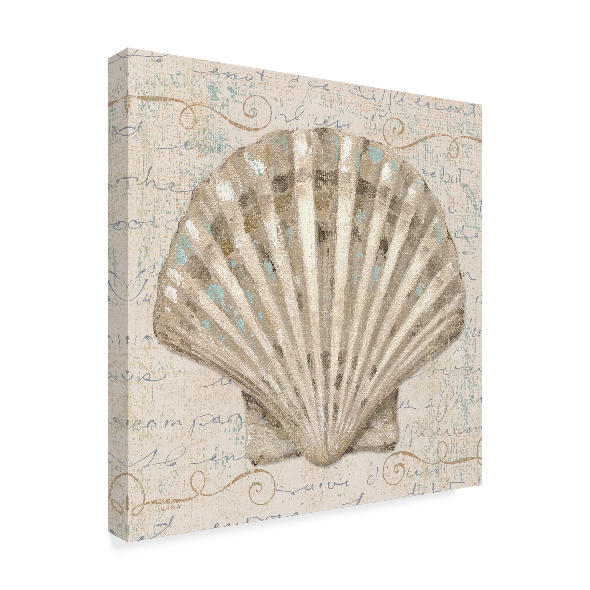 Trademark Fine Art 'Coastal Beauty I' Canvas Art by Lisa Audit
