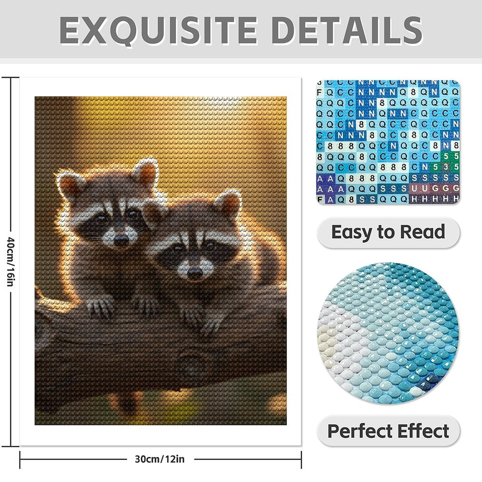 Diamond Art Kit for Adults, Adorable Raccoon Pair Sunlit Branch Diamond Painting for Adults Beginners, DIY Diamond Art Painting Kits, 5D Diamond Painting Crafts for Home Decor 12x16 Frameless