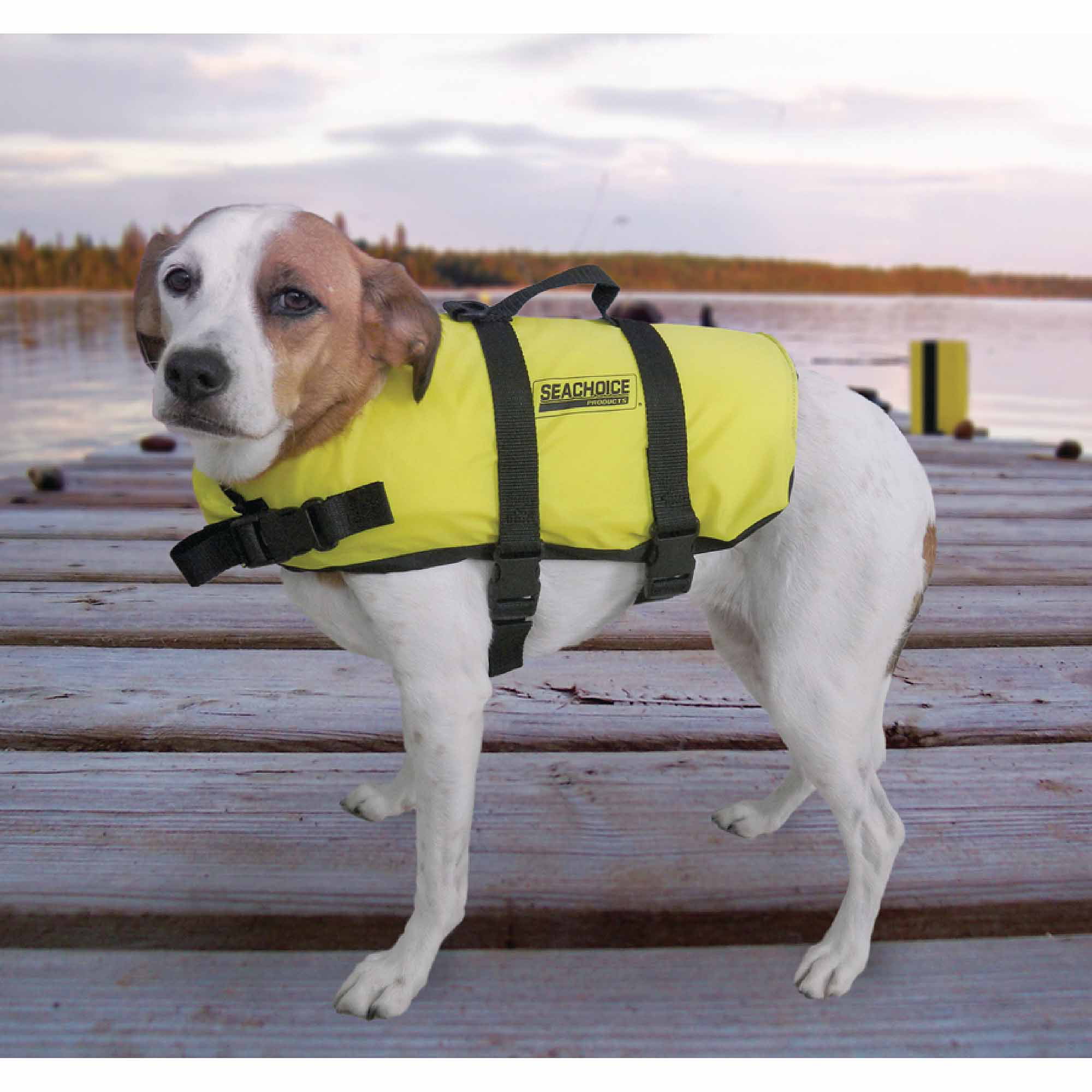 Protect Your Pooch: Top 10 Dog Life Vests Reviewed and Buying Guide ...