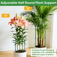 thumbnail image 3 of Estacas de soporte para plantas HiGift de 32 pulgadas, ajustables, resistentes, 6 piezas, 3 of 7