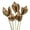Natural, variant on Vickerman 16" Natural Sora Pod, Stemmed, 5 stems, Dried