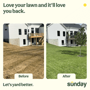 Sunday Lawn Kickstart Ready-to-spray Liquid Lawn Fertilizer 42.3 oz, (22-0-2), 5000 sq. ft.