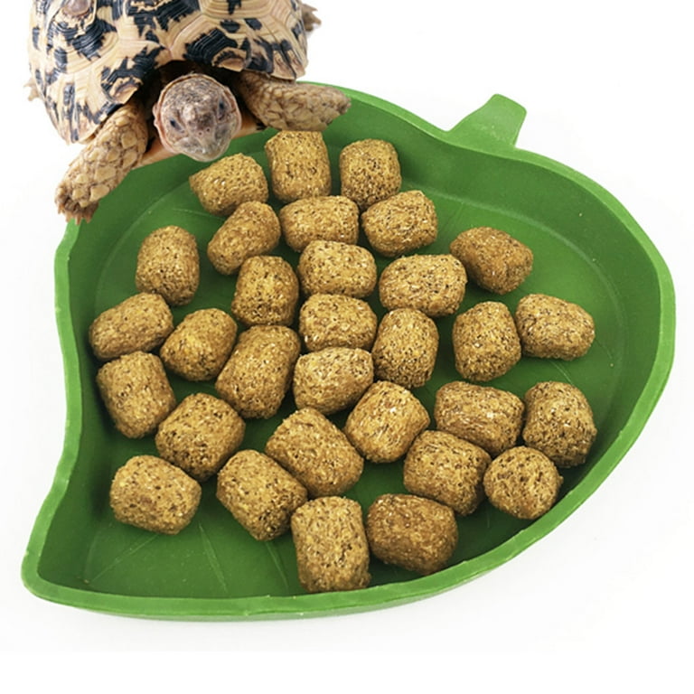 Walmart reptile cheap food