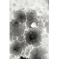 thumbnail image 2 of Ferrell, Erin McGee 23x32 Black Ornate Wood Framed with Double Matting Museum Art Print Titled - Marbling I, 2 of 4