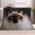 thumbnail image 1 of Cat Blanket, Cute Cat 3D Printing Throw Blanket, Soft Fluffy Flannel Blankets, 1 of 8