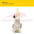 thumbnail image 4 of Premio Para Aves Kaytee Fiesta Cacahuate 85 gramos Kaytee Alimento para aves, 4 of 6