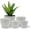 White, variant on Campior Plastic Plant Pots with Drainage, Stackable Design for Indoor/Outdoor Use, Pack of 5, Black