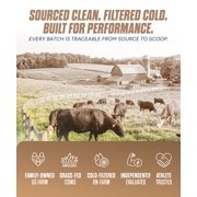 POWER PLAY FUEL Cold Micro-Filtered Whey Protein Isolate Powder, Chocolate 16oz