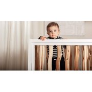 Milk Street Baby Branch Convertible Crib