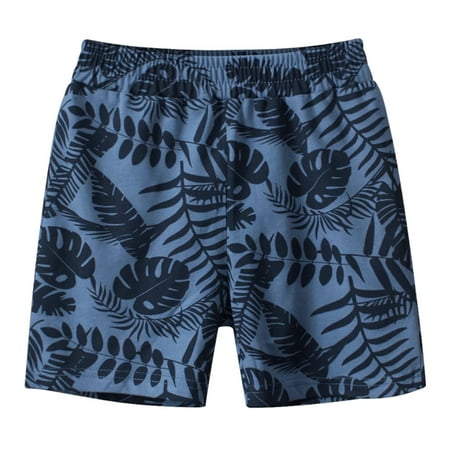 Bazozhu Baby and Toddler Boys 2 Pack Shorts, Sizes 2T-7T