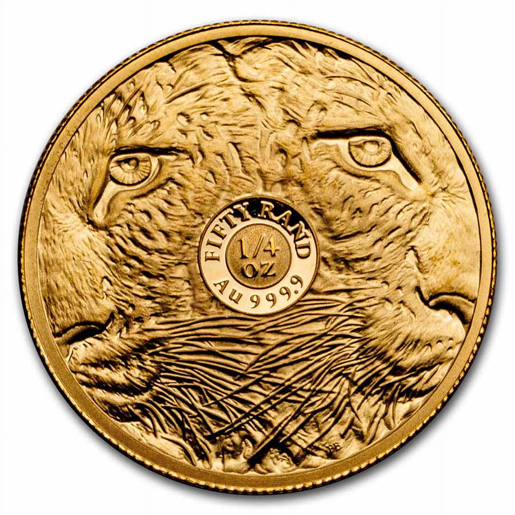 2023 South Africa 1/4 oz Proof Gold Big Five Leopard - Walmart.com