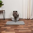 thumbnail image 3 of Tapis de Litière pour Chat 30*30cm Double Couche Imperméable, 3 of 5