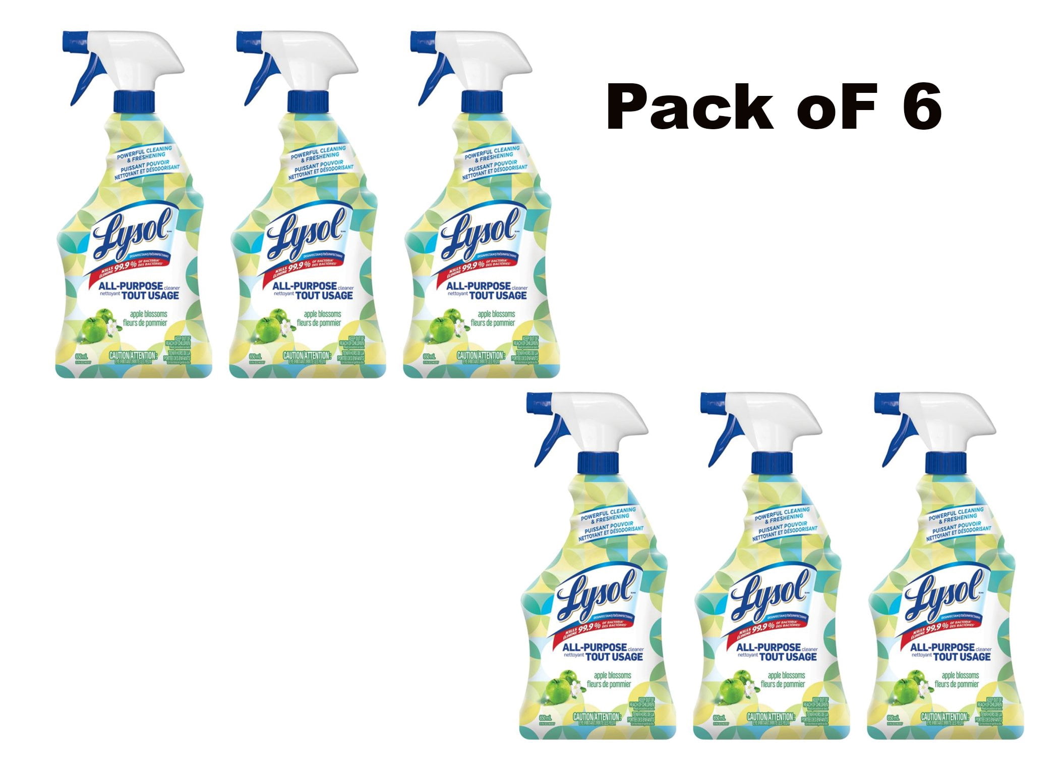 Lysol All Purpose Cleaner Apple Blossoms 650 ml Pack OF 6