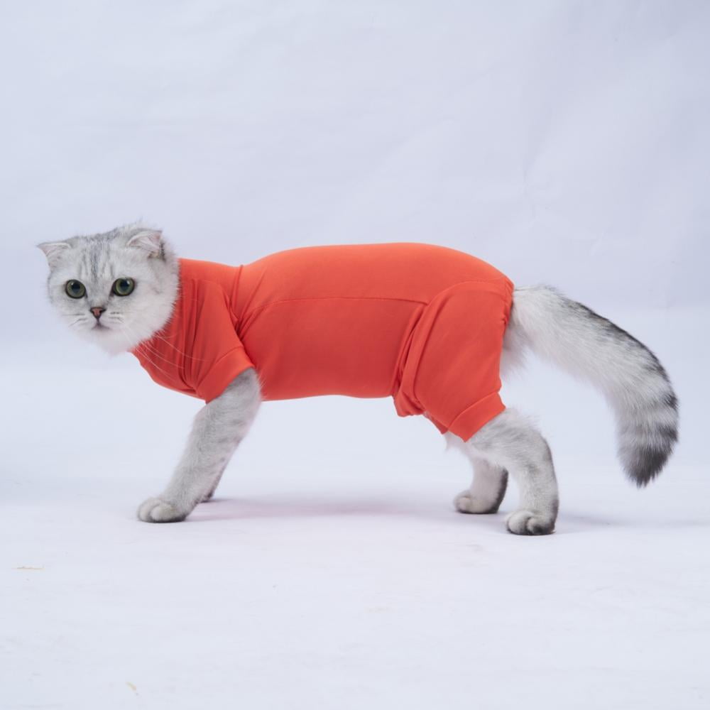 Cat Recovery Suit for Abdominal Wounds or Skin Diseases, Breathable E