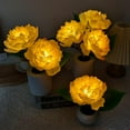 thumbnail image 3 of LINLIN Desk Lamp LED Peony Flower Night Light Artificial Flower Lamp with Vase,Table Lamp Ornaments Living Atmosphere Light Room Desktop Decor for Home Table Centerpieces,Night Lamp,Gift, 3 of 9