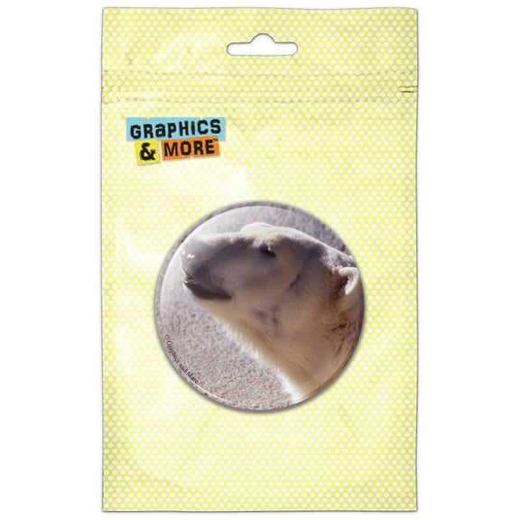 Polar Bear Pinback Button Pin Badge