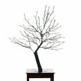 thumbnail image 1 of FLORAL LIGHTS- OUTDOOR CHERRY BLOSSOM TREE 200WT LED(HI-LINE EXCLUSIVE), 1 of 4