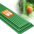 thumbnail image 1 of Garden Stakes Fabulas, 1,2 m, 28 unidades, metal revestido de plástico, color verde, 1 of 6