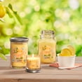 thumbnail image 7 of Yankee Candle Lemon Gelato, 22 oz Original Large Jar Candle, 7 of 7