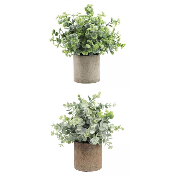 2 piezas de plantas artificiales en maceta para interior y exterior. Desmodio+Eucalipto
