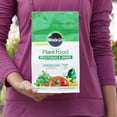 thumbnail image 4 of Miracle-Gro Water Soluble Plant Food Vegetables and Herbs 2 lb, 4 of 11