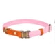 thumbnail image 1 of Vibrante en varias opciones de colores: collar para perros de nailon de primera calidad con cierre de metal, 1 of 5