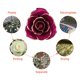 thumbnail image 4 of LetCart Rosa Recortada Bañada En Oro Rosa Preservada Personalizados para Mujeres En Cumpleaños, 4 of 5
