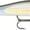Speed Monkey, variant on Rapala Rip Stop