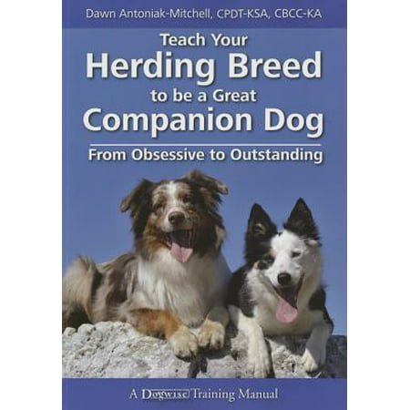 Teach Your Herding Breed to Be a Great Companion Dog, from Obsessive to