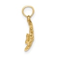 thumbnail image 4 of FJC Finejewelers 14k Yellow Gold Fish Polish Engraved Charm, 4 of 4