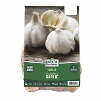 Expert Gardener Set of 3 Dormant Garlic Bulbs for Full Sun Exposure, White Annual