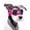 Pink, variant on NAMSAN Pet Sunglasses for Tiny Dogs Extra Small Dog Goggles for Outdoor Activities, Black XS