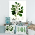 thumbnail image 1 of Designart Vintage Botanicals IV Canvas Wall Art, 1 of 4