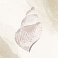 thumbnail image 2 of Allen, Kimberly 26x26 Gold Ornate Wood Framed with Double Matting Museum Art Print Titled - Calming Shell 4, 2 of 4
