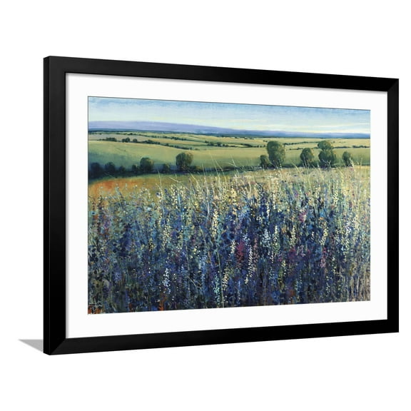 Art.com Wildflower Vista Giclee Print by Tim O'toole, Black Frame Wall Art, 44" x 32"
