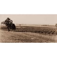 thumbnail image 3 of Watkins, Carleton 14x9 Black Modern Framed Museum Art Print Titled - Young Orchard, Palermo, Butte County, California, 1888-1891, 3 of 5