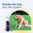 thumbnail image 5 of Honest Paws Dog Dry Shampoo, Waterless Shampoo, 16 oz Oatmeal & Lavender, 5 of 9