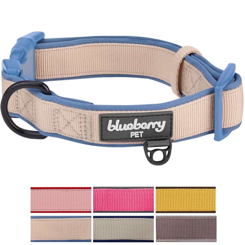Blueberry Pet Soft & Comfy Made Well Classic Neoprene Padded Dog Collar