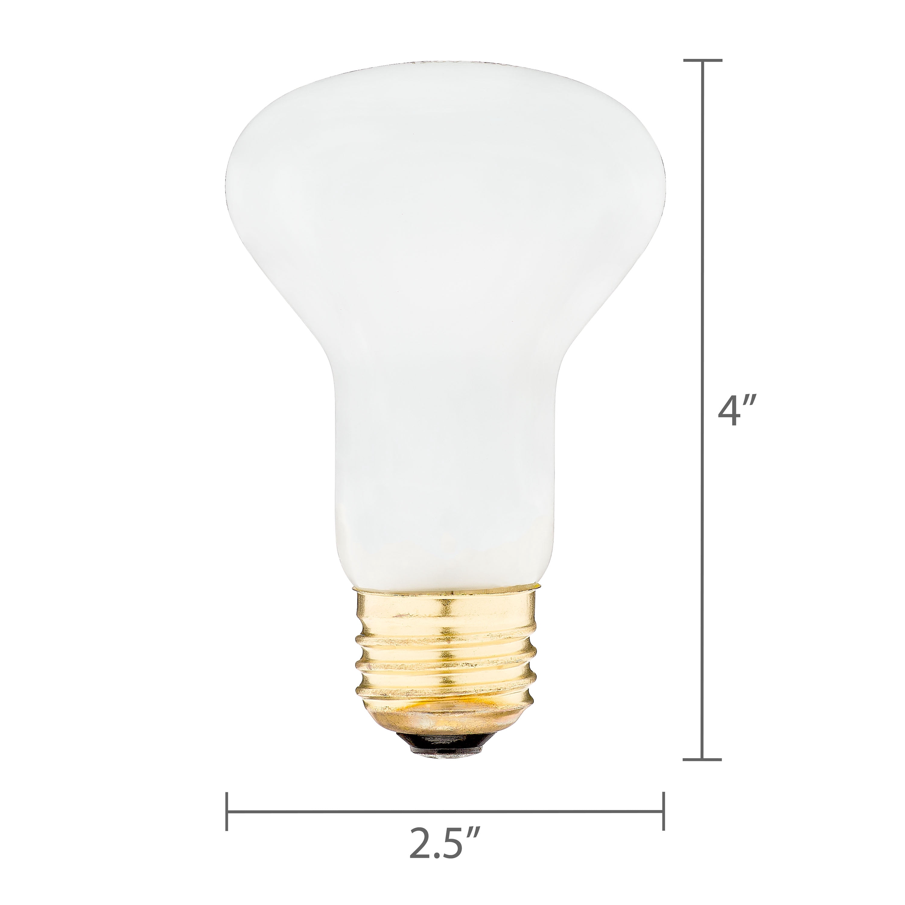 (5 pack) Vibrant Life 60W Terrarium Basking Bulb, Daylight