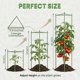 thumbnail image 5 of Jaula para tomates K-Brands, paquete de 6, soporte para plantas de 122 cm de alto, 5 of 9