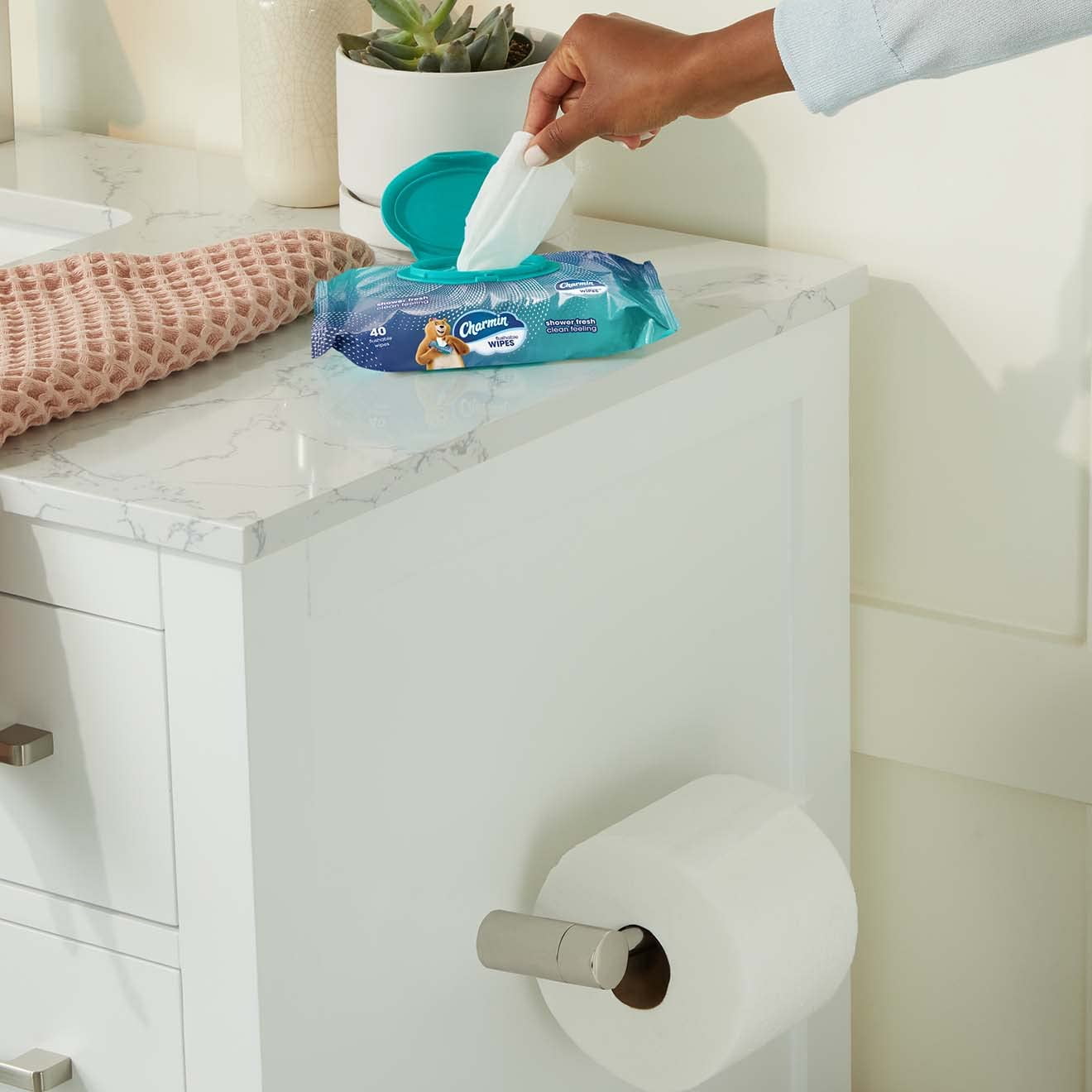 Charmin Flushable Wipes, (Pack of 4)