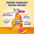 thumbnail image 2 of Lysol Brand New Day All Purpose Cleaner Mango & Hibiscus, Deep Clean 32 fl oz, 2 of 10