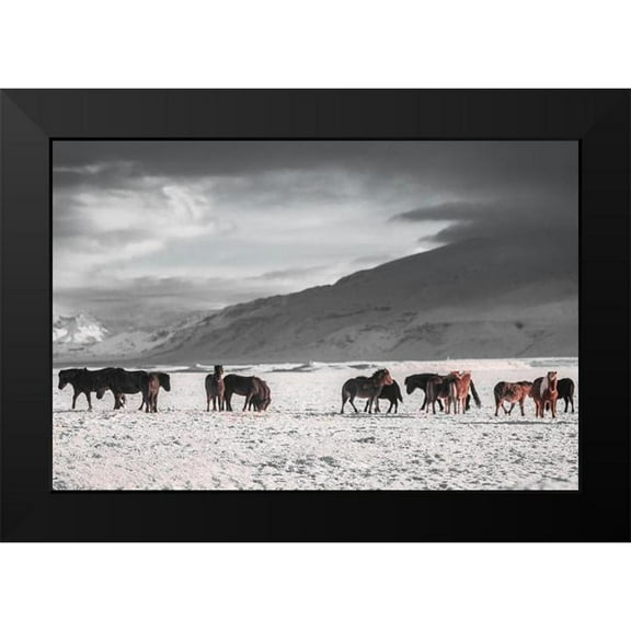 The Yellowstone Collection 14x11 Black Modern Framed Museum Art Print Titled - The Frozen Plain