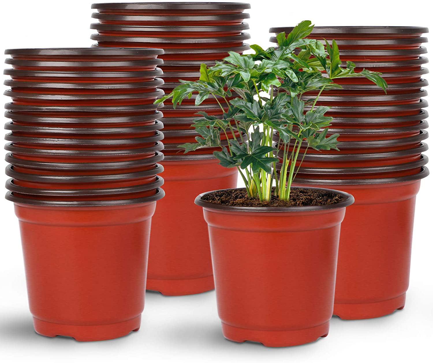 100Pcs Flower Pots & Plant For Nursery Seeding Starts Round Plastic 14 Sizes 