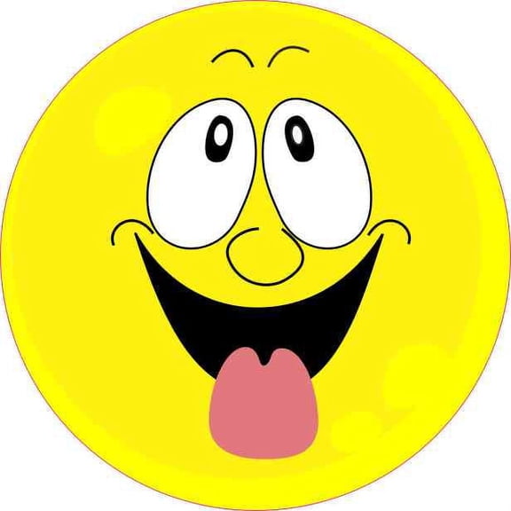 4in X 4in Silly Face Sticker Vehicle Bumper Stickers Funny Vinyl Cup Decal