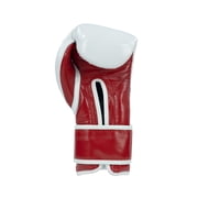 Cleto Reyes Training Boxing Gloves with Hook and Loop Closure for Men and Women (12oz, Mexico)
