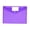A005- Purple, variant on Plastic Pocket Folder, Clear Folder, File Folders Letter Size, Label Holder, 13X9 Inch Waterproof 1Pc Document Pouch for Desk Sorting, Class Handout Organization and Home Office