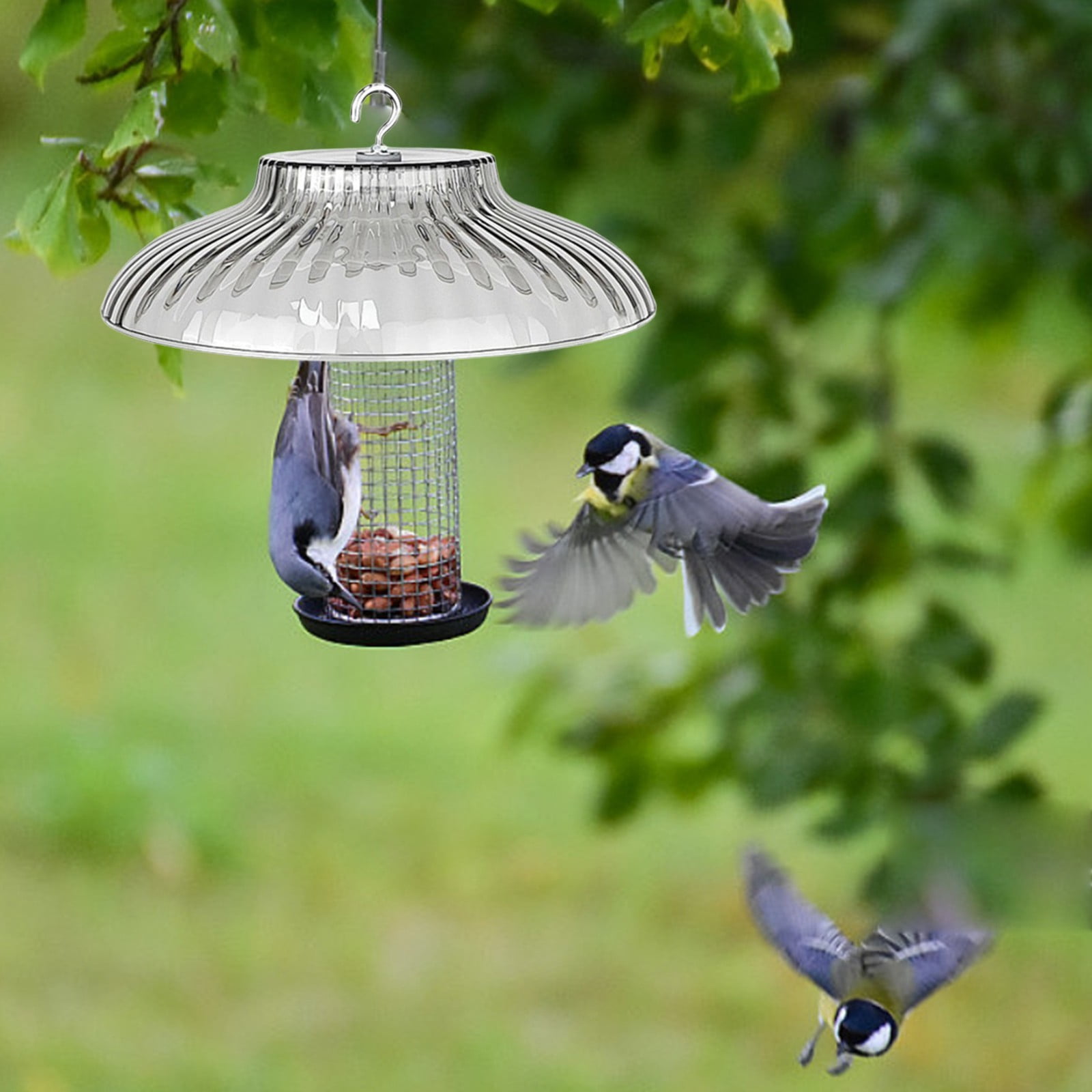 Outdoor Bird Feeder Rain Cover Dome Guard for Garden Porch from Water and