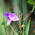 thumbnail image 4 of Garden Trellis Net For Climbing Garden Mesh Netting Plants Net Trellis For Climbing Plants Outdoor Plant Net For Vegetable And Fruit, 4 of 9