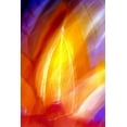 thumbnail image 2 of Taylor, Douglas 13x18 Black Ornate Wood Framed with Double Matting Museum Art Print Titled - Incandescence, 2 of 4